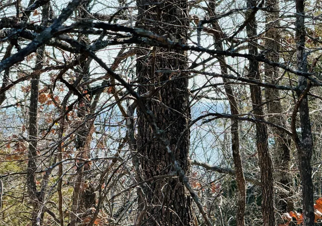 Photo 3 of Land for sale at Mountain View Rd, Eufaula, OK 74432 | MLS# 2628974 | Listing updated on 2026-08-20