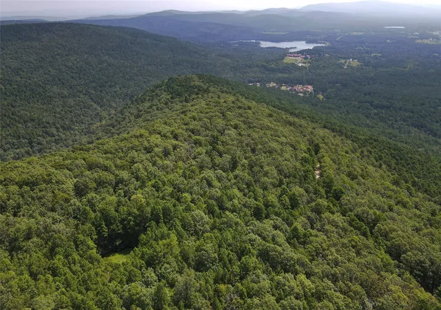 Photo 1 of Land for sale at Buffalo Mountain Rd, Talihina, OK 74571 | MLS# 2628977 | Listing updated on 2026-08-20