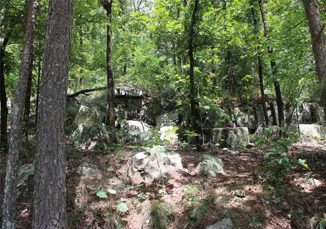 Photo 2 of Land for sale at Buffalo Mountain Rd, Talihina, OK 74571 | MLS# 2628977 | Listing updated on 2026-08-20