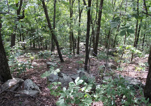 Photo 4 of Land for sale at Buffalo Mountain Rd, Talihina, OK 74571 | MLS# 2628977 | Listing updated on 2026-08-20