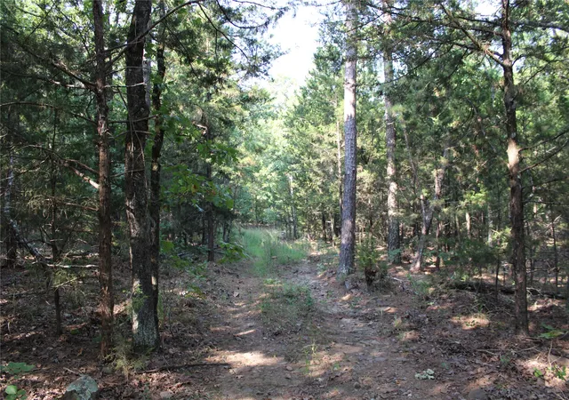 Photo 2 of Sale Pending at Highway 1, Buffalo Valley, OK 74571 | MLS# 2629053 | Listing updated on 2026-08-27