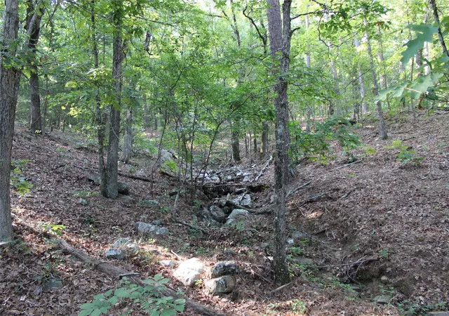 Photo 3 of Sale Pending at Highway 1, Buffalo Valley, OK 74571 | MLS# 2629053 | Listing updated on 2026-08-27