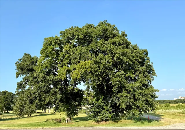 Photo 3 of Land for sale at 21189 Highway 77, Thackerville, OK 73459 | MLS# 2628810 | Listing updated on 2026-08-20