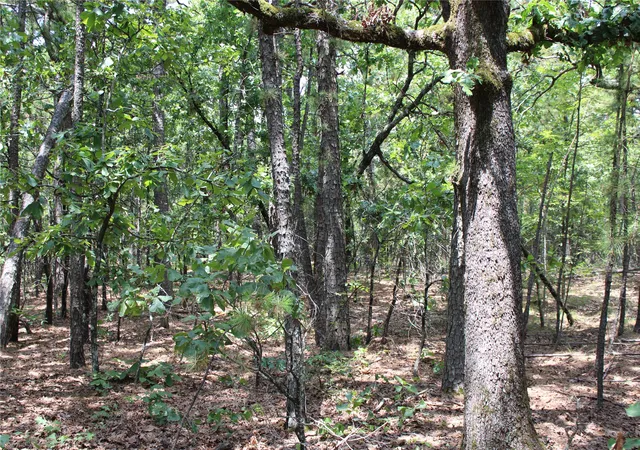 Photo 1 of Land for sale at 1060 Road, Panola, OK 74559 | MLS# 2629059 | Listing updated on 2026-08-20
