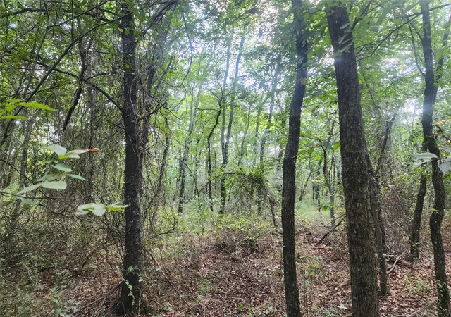 Photo 3 of Land for sale at 1060 Road, Panola, OK 74559 | MLS# 2629059 | Listing updated on 2026-08-20