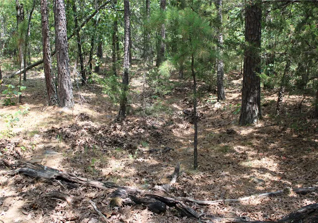 Photo 3 of Land for sale at 1060 Road, Panola, OK 74559 | MLS# 2629059 | Listing updated on 2026-08-20