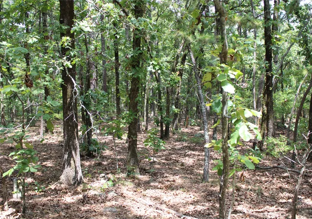 Photo 4 of Land for sale at 1060 Road, Panola, OK 74559 | MLS# 2629059 | Listing updated on 2026-08-20
