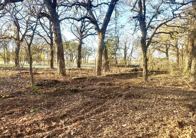 Photo 3 of Land for sale at 0 Highway 77, Thackerville, OK 73459 | MLS# 2629051 | Listing updated on 2026-08-20