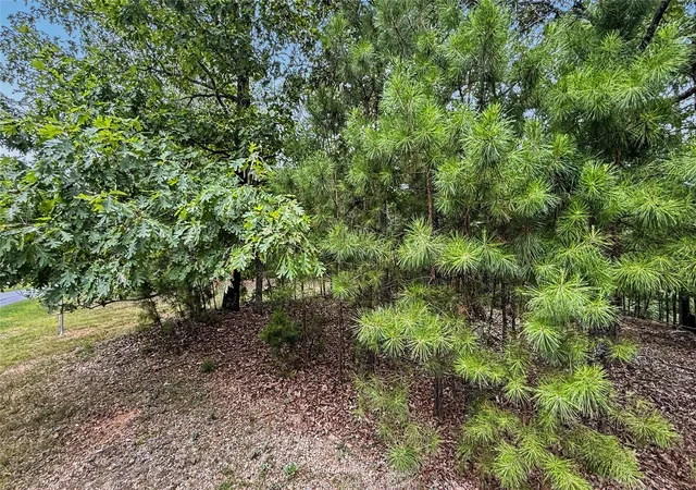Photo 3 of Land for sale at 1595 Deer Lake Dr, Kansas, OK 74347 | MLS# 2629026 | Listing updated on 2026-08-20