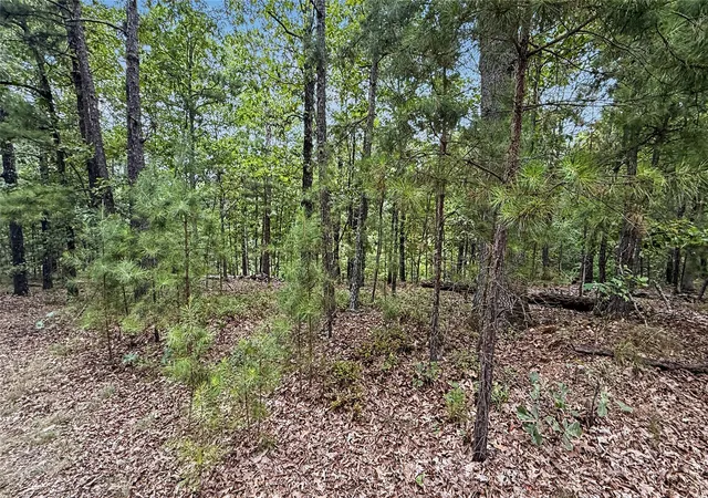 Photo 3 of Land for sale at 1595 Deer Lake Dr, Kansas, OK 74347 | MLS# 2629026 | Listing updated on 2026-08-20