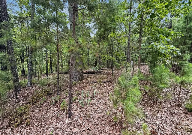 Photo 4 of Land for sale at 1595 Deer Lake Dr, Kansas, OK 74347 | MLS# 2629026 | Listing updated on 2026-08-20