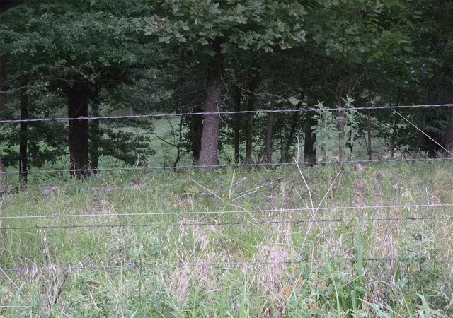 Photo 2 of Land for sale at E 460 Road, Claremore, OK 74017 | MLS# 2629067 | Listing updated on 2026-08-20