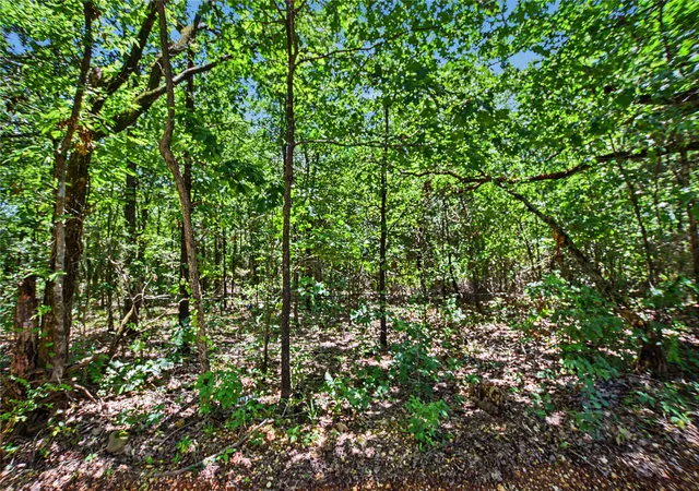 Photo 1 of Land for sale at 22501 E 830 Road, Welling, OK 74471 | MLS# 2629533 | Listing updated on 2026-08-20