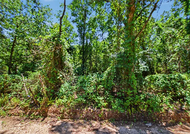 Photo 4 of Land for sale at 22501 E 830 Road, Welling, OK 74471 | MLS# 2629533 | Listing updated on 2026-08-20