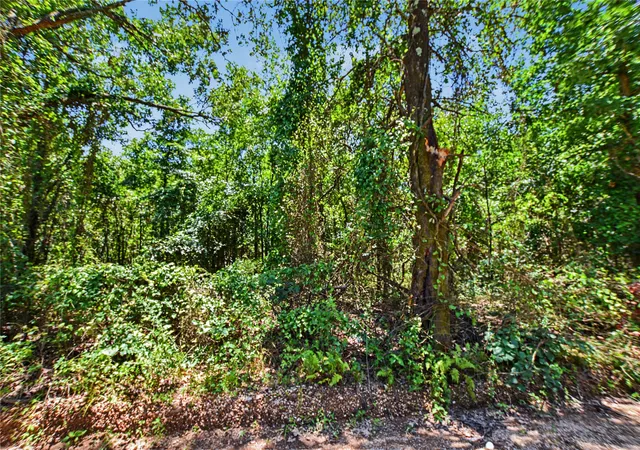 Photo 5 of Land for sale at 22501 E 830 Road, Welling, OK 74471 | MLS# 2629533 | Listing updated on 2026-08-20