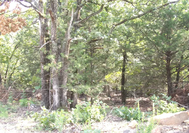 Photo 2 of Land for sale at Bus Loop Rd, Eufaula, OK 74432 | MLS# 2629548 | Listing updated on 2026-08-20