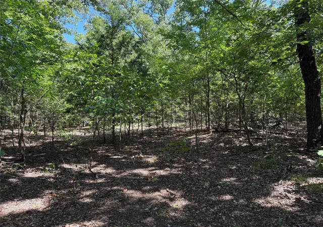 Photo 4 of Land for sale at 000 Oak Hills Dr, Tishomingo, OK 73460 | MLS# 2629684 | Listing updated on 2026-08-20
