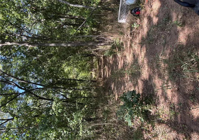 Photo 1 of Land for sale at 11940 State Hwy 76, Healdton, OK 73438 | MLS# 2630067 | Listing updated on 2026-10-05