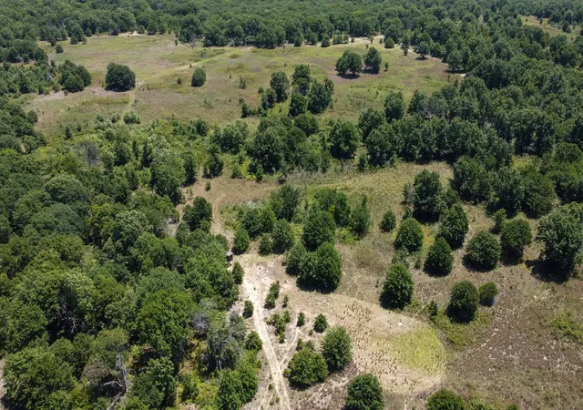 Photo 1 of Land for sale at N 3820 Road, Weleetka, OK 74880 | MLS# 2630150 | Listing updated on 2026-08-20