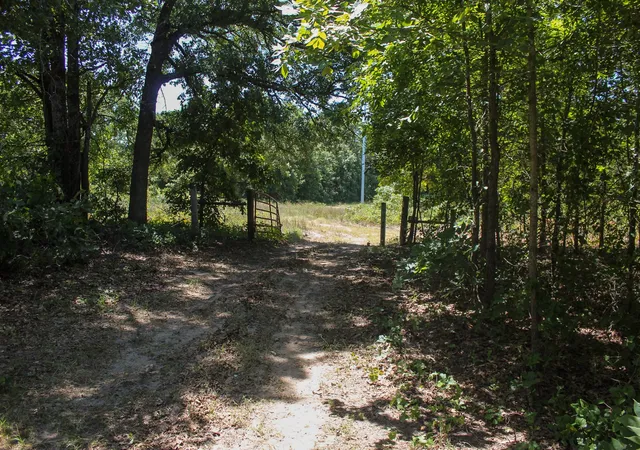 Photo 4 of Land for sale at N 3820 Road, Weleetka, OK 74880 | MLS# 2630150 | Listing updated on 2026-08-20
