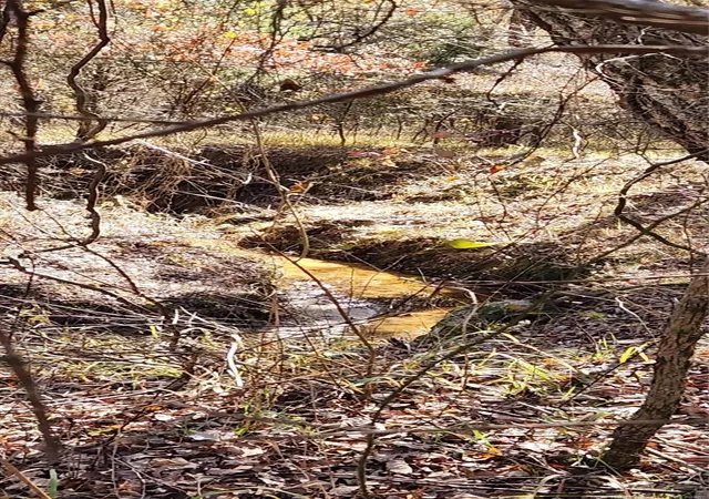 Photo 3 of Land for sale at S Skylark Rd, Lane, OK 74555 | MLS# 2630252 | Listing updated on 2026-08-20