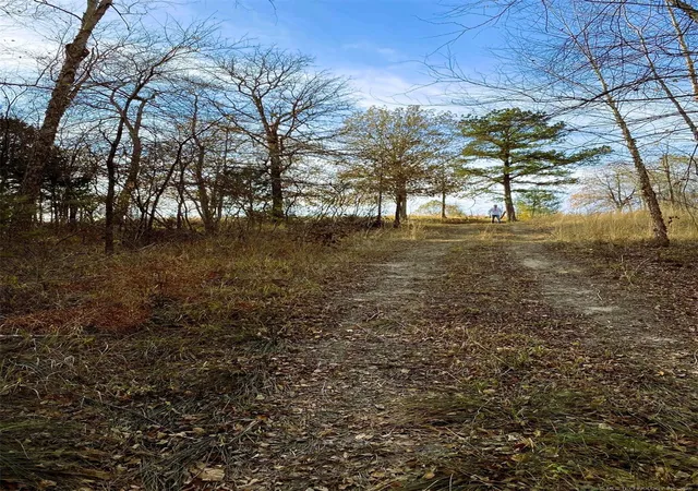 Photo 4 of Land for sale at S Skylark Rd, Lane, OK 74555 | MLS# 2630252 | Listing updated on 2026-08-20
