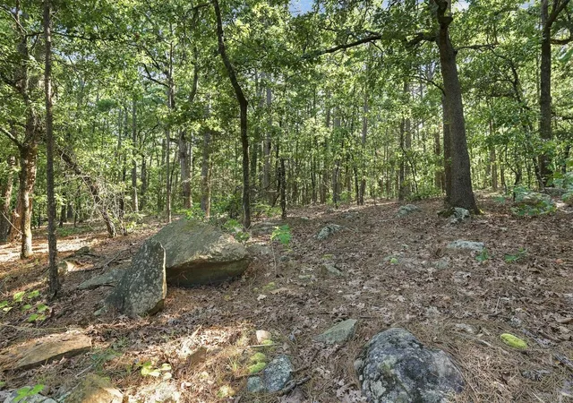 Photo 2 of Land for sale at 175 Sw Sherman, Moyers, OK 74557 | MLS# 2630373 | Listing updated on 2026-08-20