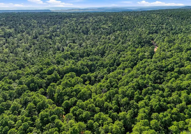 Photo 4 of Land for sale at 175 SW Sherman, Moyers, OK 74557 | MLS# 2630373 | Listing updated on 2026-08-20