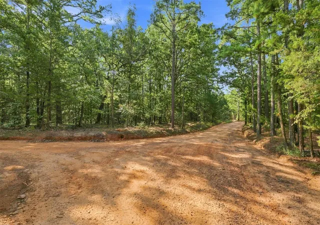 Land for sale at 45 Buck Crk Rd, Moyers, OK 74557 | MLS# 2630375