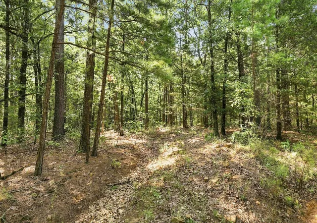Photo 3 of Land for sale at 45 Buck Crk Rd, Moyers, OK 74557 | MLS# 2630375 | Listing updated on 2026-09-25