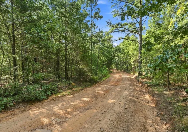 Photo 3 of Land for sale at 45 Buck Crk Rd, Moyers, OK 74557 | MLS# 2630375 | Listing updated on 2026-09-25