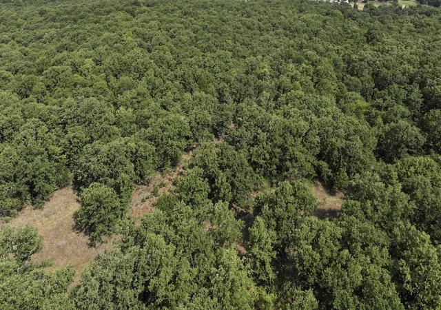 Photo 3 of Sale Pending at 000 County Rd 1600, Wynnewood, OK 73098 | MLS# 2630397 | Listing updated on 2026-09-29