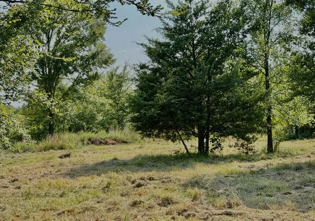 Photo 2 of Land for sale at 98591 4503 Circle, Vian, OK 74962 | MLS# 2630143 | Listing updated on 2026-08-20