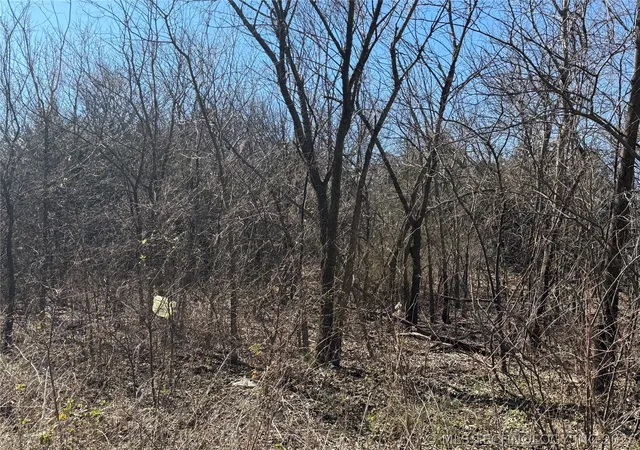 Photo 2 of Land for sale at 1 Martin Luther King Ave, Hominy, OK 74035 | MLS# 2631329 | Listing updated on 2026-08-24
