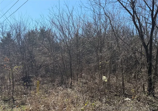 Photo 3 of Land for sale at 1 Martin Luther King Ave, Hominy, OK 74035 | MLS# 2631329 | Listing updated on 2026-08-24