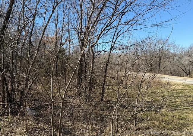 Photo 3 of Land for sale at 1 Martin Luther King Ave, Hominy, OK 74035 | MLS# 2631329 | Listing updated on 2026-08-24