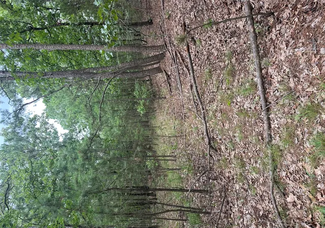 Photo 2 of Land for sale at 001 Johns Valley Rd, Moyers, OK 74557 | MLS# 2631557 | Listing updated on 2026-08-26