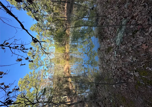 Photo 3 of Land for sale at 001 Johns Valley Rd, Moyers, OK 74557 | MLS# 2631557 | Listing updated on 2026-08-26