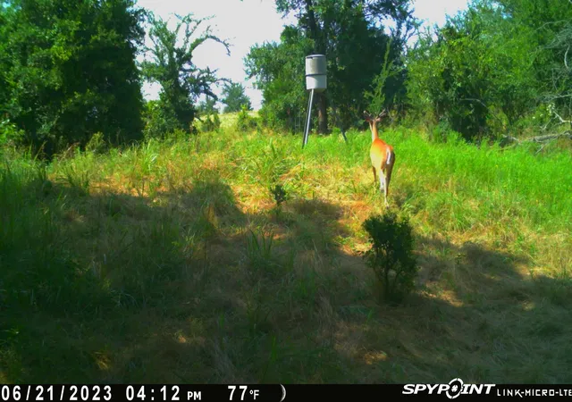 Photo 4 of Land for sale at Ti Valley Pass, Blanco, OK 74528 | MLS# 2631609 | Listing updated on 2026-08-25