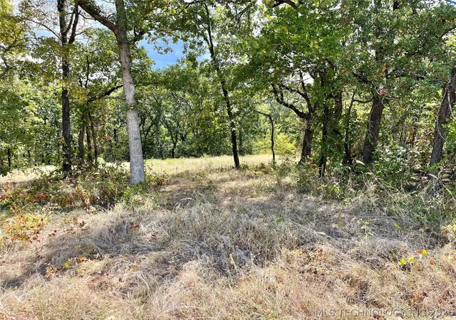 Photo 2 of Land for sale at Texoma Park Rd, Kingston, OK 73439 | MLS# 2631891 | Listing updated on 2026-08-27