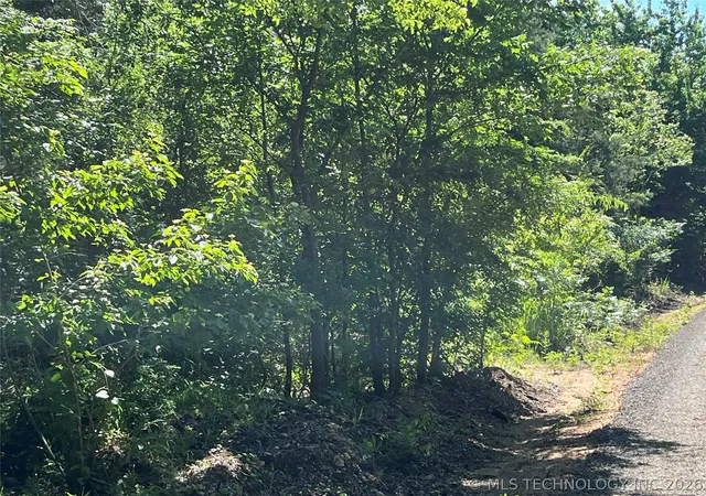 3rd image of State Hwy 199, Silo, OK 74701 | MLS# 2631905