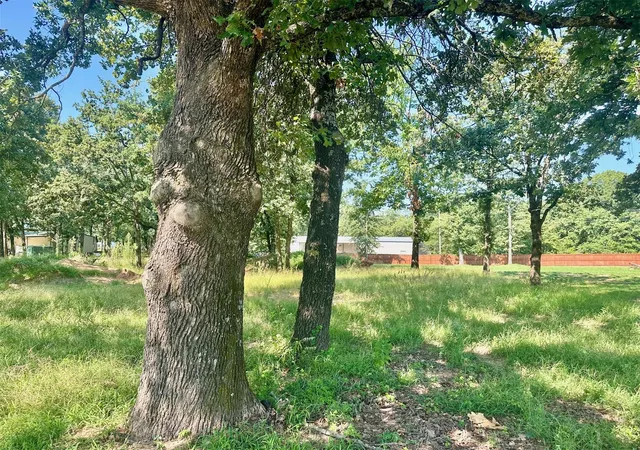 Photo 3 of Land for sale at 12095 Rhynes Cir, Kingston, OK 73439 | MLS# 2631928 | Listing updated on 2026-08-27