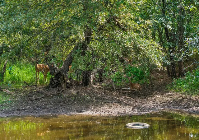 Photo 5 of Land for sale at S 283Rd Eastplace, Broken Arrow, OK 74014 | MLS# 2631983 | Listing updated on 2026-08-28