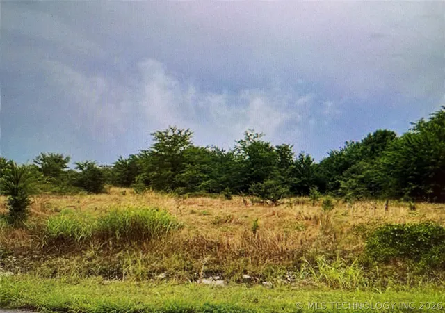 Photo 3 of Land for sale at 1299 Hwy 70 Hwy, Madill, OK 73446 | MLS# 2632070 | Listing updated on 2026-08-28