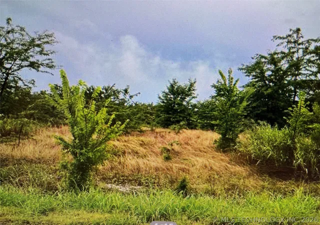 Photo 5 of Land for sale at 1299 Hwy 70 Hwy, Madill, OK 73446 | MLS# 2632070 | Listing updated on 2026-08-28