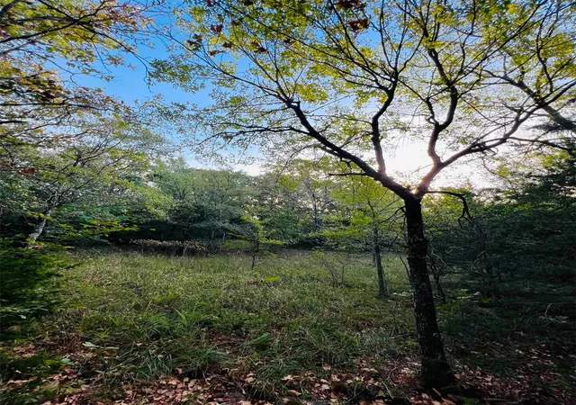 Photo 3 of Land for sale at 960 Road E, Vian, OK 74962 | MLS# 2632145 | Listing updated on 2026-08-31