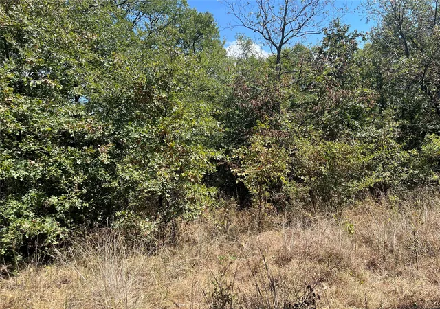 Photo 4 of Land for sale at Kickapoo Ave, Kingston, OK 73439 | MLS# 2632330 | Listing updated on 2026-09-01