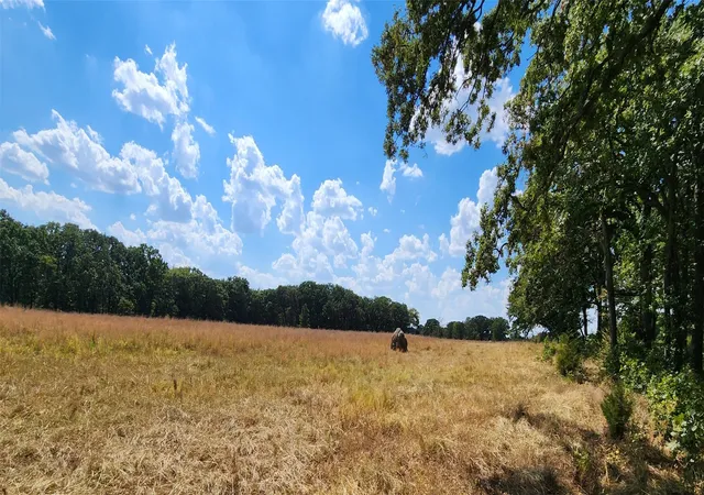 Photo 2 of Land for sale at Arnett Rd, Bokchito, OK 74726 | MLS# 2632846 | Listing updated on 2026-09-15