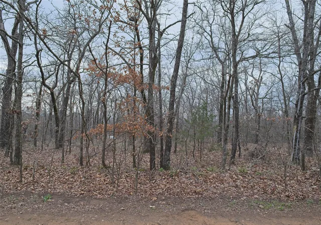 Photo 1 of Land for sale at S 4547 Drive, Vian, OK 74962 | MLS# 2633874 | Listing updated on 2026-09-15