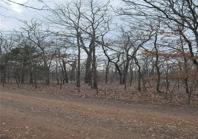 Photo 3 of Land for sale at S 4547 Drive, Vian, OK 74962 | MLS# 2633874 | Listing updated on 2026-09-15